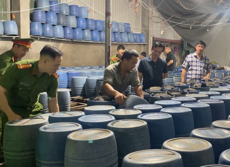Khởi tố 3 bị can sản xuất h&agrave;ng trăm tấn gi&aacute; đỗ "tắm" h&oacute;a chất độc hại ở L&agrave;o Cai- Ảnh 4.