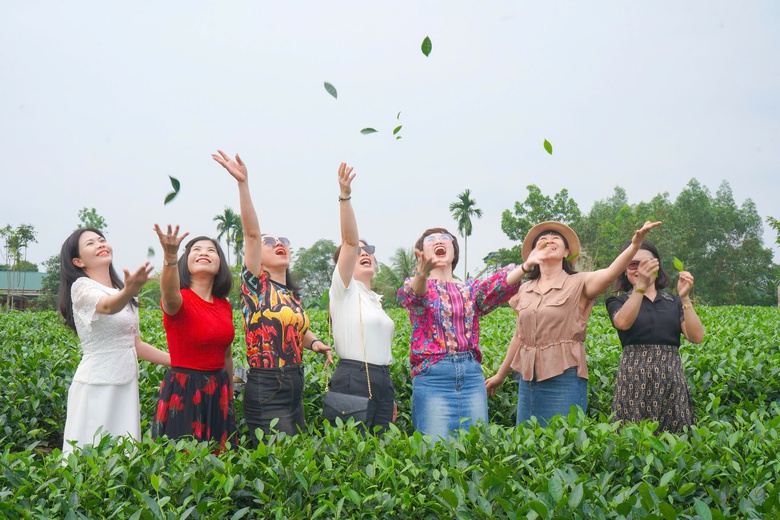 Du khách thích thú những đồi chè xanh ngát ở Thái Nguyên- Ảnh 5. Du khách thích thú những đồi chè xanh ngát ở Thái Nguyên- Ảnh 5.