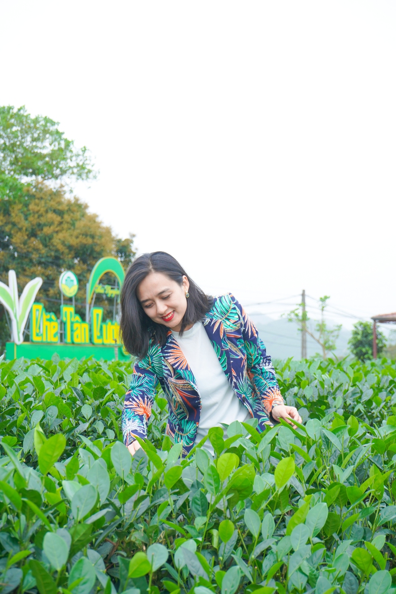 Du khách thích thú những đồi chè xanh ngát ở Thái Nguyên- Ảnh 7. Du khách thích thú những đồi chè xanh ngát ở Thái Nguyên- Ảnh 7.