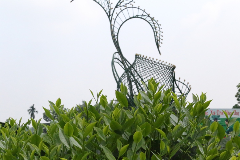 Du khách thích thú những đồi chè xanh ngát ở Thái Nguyên- Ảnh 17. Du khách thích thú những đồi chè xanh ngát ở Thái Nguyên- Ảnh 17.