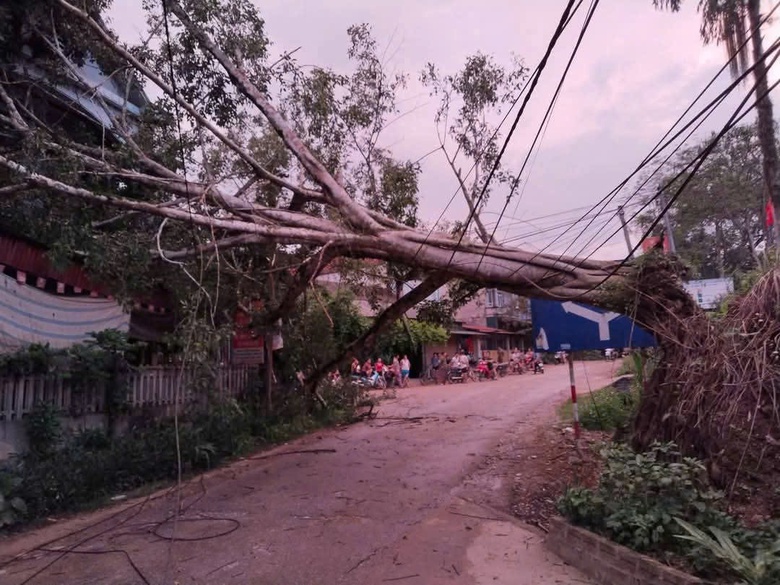 Yên Bái: Gió lốc bất ngờ làm tốc mái 52 ngôi nhà, thiệt hại nhiều hoa màu- Ảnh 2. Yên Bái: Gió lốc bất ngờ làm tốc mái 52 ngôi nhà, thiệt hại nhiều hoa màu- Ảnh 2.