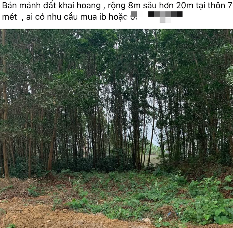 Cẩn trọng "tiền mất, tật mang" khi &ocirc;m đất khai hoang- Ảnh 1.