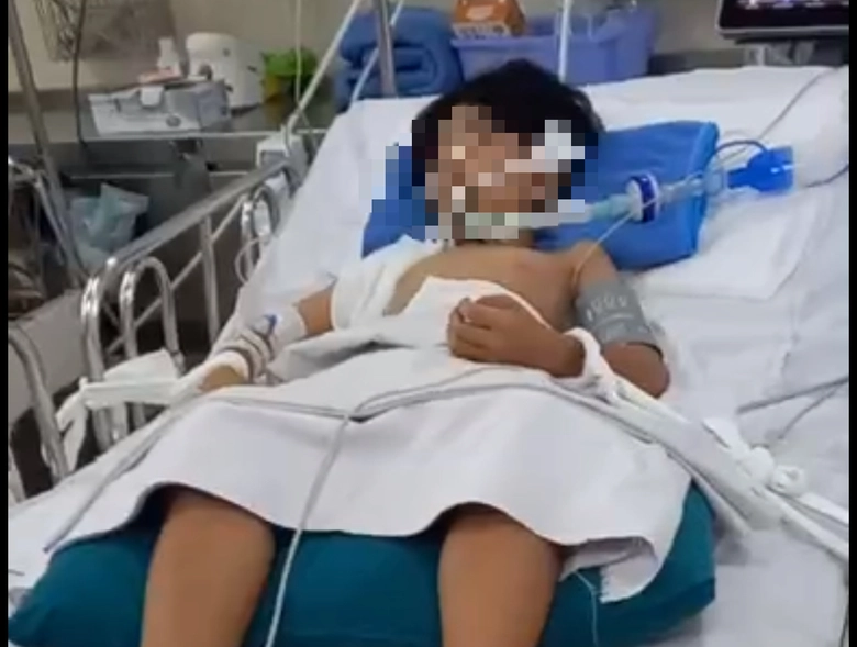 Bị nh&aacute;nh c&acirc;y rơi tr&uacute;ng đầu khi đang chờ đ&egrave;n đỏ, b&eacute; trai 10 tuổi ở TP.HCM nguy kịch- Ảnh 1.