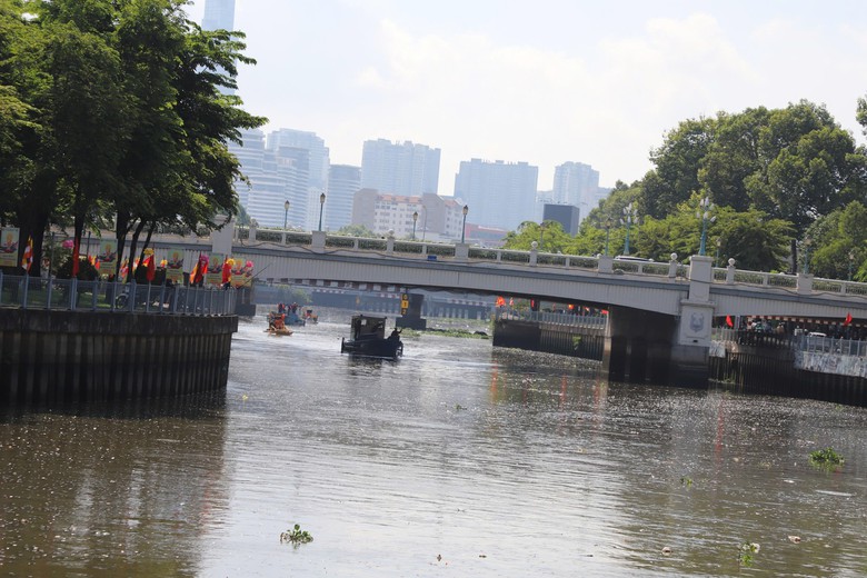 C&aacute; chết la liệt tr&ecirc;n k&ecirc;nh Nhi&ecirc;u Lộc - Thị Ngh&egrave; sau mưa lớn- Ảnh 3.