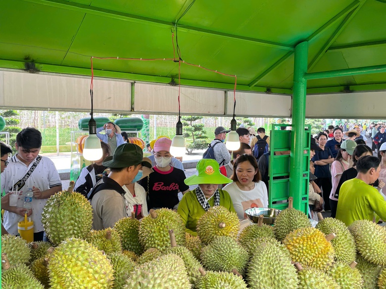Lễ hội trái cây Nam Bộ 2025, hương sắc miệt vườn- Ảnh 8. Lễ hội trái cây Nam Bộ 2025, hương sắc miệt vườn- Ảnh 8.