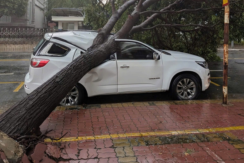 Mưa k&egrave;m d&ocirc;ng lốc khiến c&acirc;y bật gốc đ&egrave; g&acirc;y hư hỏng &ocirc; t&ocirc; đỗ ven đường- Ảnh 2.