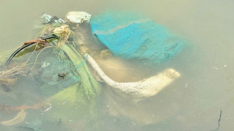 Người d&acirc;n l&agrave;ng biển Quảng Ng&atilde;i bất lực với lượng r&aacute;c ken đặc từ biển tấp v&agrave;o- Ảnh 8.