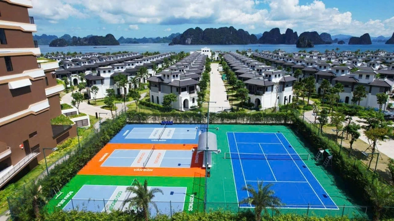 Pickleball đang trở th&agrave;nh điểm nhấn hạ tầng du lịch- Ảnh 1.