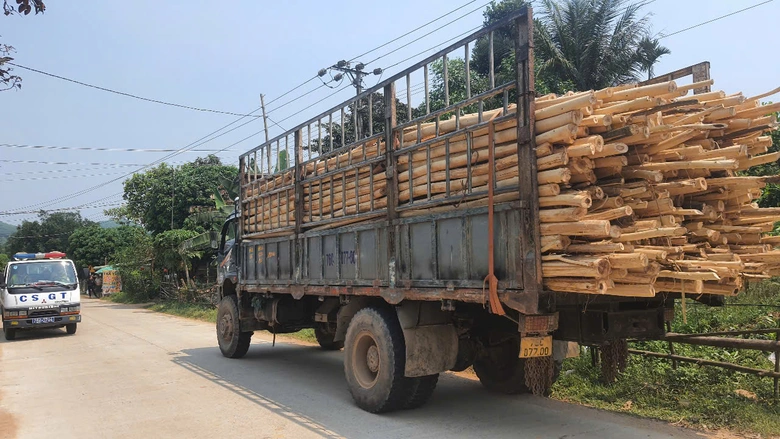 Quảng Ng&atilde;i lập lại trật tự giao th&ocirc;ng, xử nghi&ecirc;m xe qu&aacute; tải, qu&aacute; khổ- Ảnh 3.