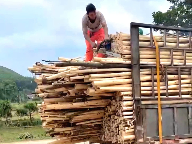 Quảng Ng&atilde;i lập lại trật tự giao th&ocirc;ng, xử nghi&ecirc;m xe qu&aacute; tải, qu&aacute; khổ- Ảnh 2.