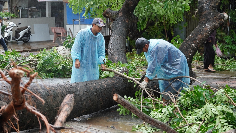 Mưa lớn g&acirc;y ngập &uacute;ng, sạt lở chia cắt giao th&ocirc;ng, t&agrave;u c&aacute; gặp nạn tr&ecirc;n biển- Ảnh 4.