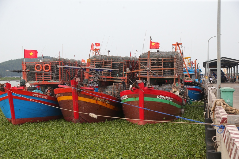 Ngư d&acirc;n Nghệ An chủ động v&agrave;o bờ tr&aacute;nh b&atilde;o- Ảnh 1.