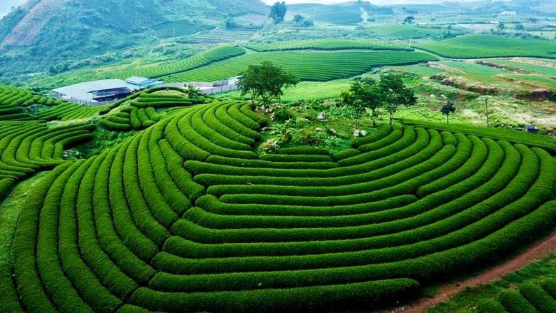 KDLQG Mộc Ch&acirc;u sẽ l&agrave; v&ugrave;ng trọng điểm ph&aacute;t triển kinh tế ph&iacute;a Nam của tỉnh Sơn La.