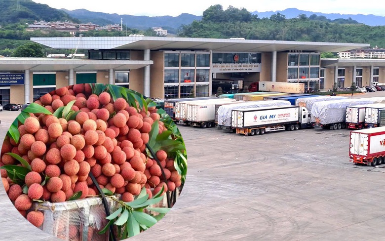 L&agrave;o Cai: Mỗi ng&agrave;y c&oacute; 60 - 70 xe chở vải thiều xuất khẩu sang Trung Quốc- Ảnh 1.