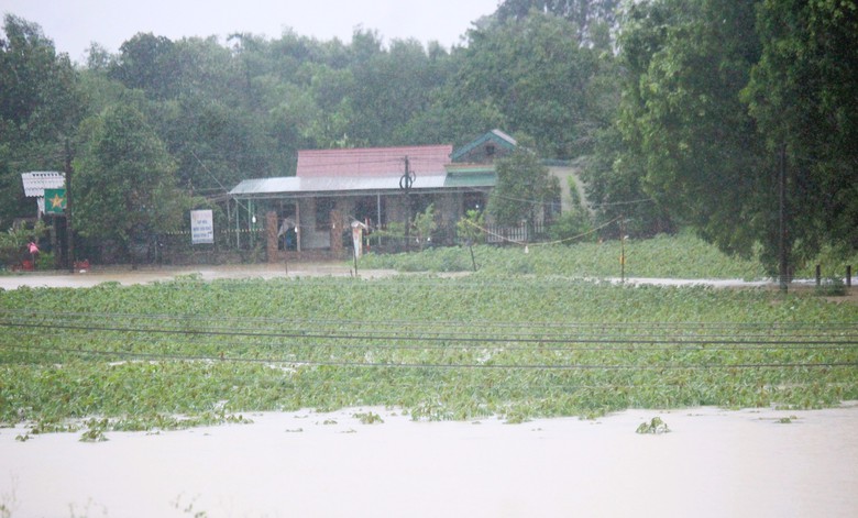 Hai người tử vong, một người bị thương trong đợt mưa lũ bất thường ở Quảng Trị- Ảnh 3.