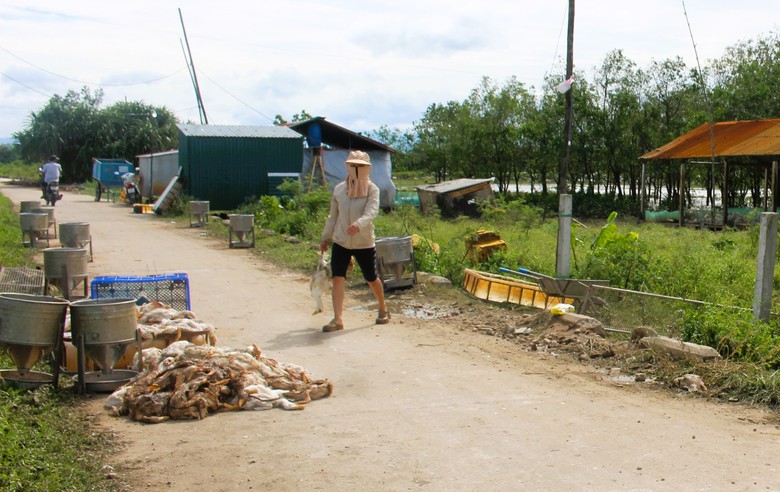 Lũ dữ bất thường gây nhiều thiệt hại, người dân Quảng Trị, Huế nỗ lực khắc phục- Ảnh 1. Lũ dữ bất thường gây nhiều thiệt hại, người dân Quảng Trị, Huế nỗ lực khắc phục- Ảnh 1.