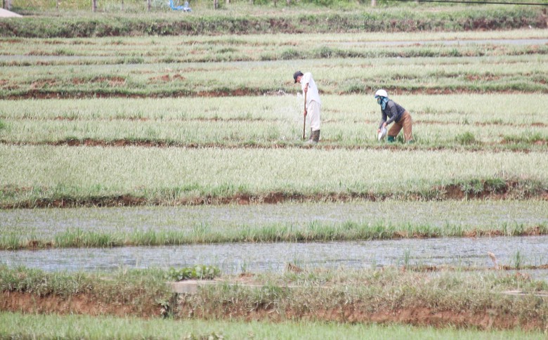 Lũ dữ bất thường gây nhiều thiệt hại, người dân Quảng Trị, Huế nỗ lực khắc phục- Ảnh 12. Lũ dữ bất thường gây nhiều thiệt hại, người dân Quảng Trị, Huế nỗ lực khắc phục- Ảnh 12.
