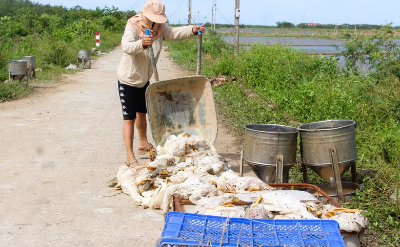 Lũ dữ bất thường gây nhiều thiệt hại, người dân Quảng Trị, Huế nỗ lực khắc phục- Ảnh 14. Lũ dữ bất thường gây nhiều thiệt hại, người dân Quảng Trị, Huế nỗ lực khắc phục- Ảnh 14.