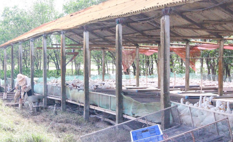 Lũ dữ bất thường gây nhiều thiệt hại, người dân Quảng Trị, Huế nỗ lực khắc phục- Ảnh 15. Lũ dữ bất thường gây nhiều thiệt hại, người dân Quảng Trị, Huế nỗ lực khắc phục- Ảnh 15.