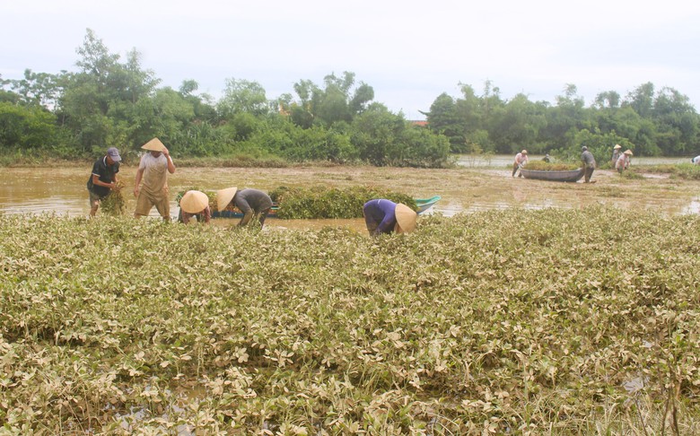 Lũ dữ bất thường gây nhiều thiệt hại, người dân Quảng Trị, Huế nỗ lực khắc phục- Ảnh 2. Lũ dữ bất thường gây nhiều thiệt hại, người dân Quảng Trị, Huế nỗ lực khắc phục- Ảnh 2.