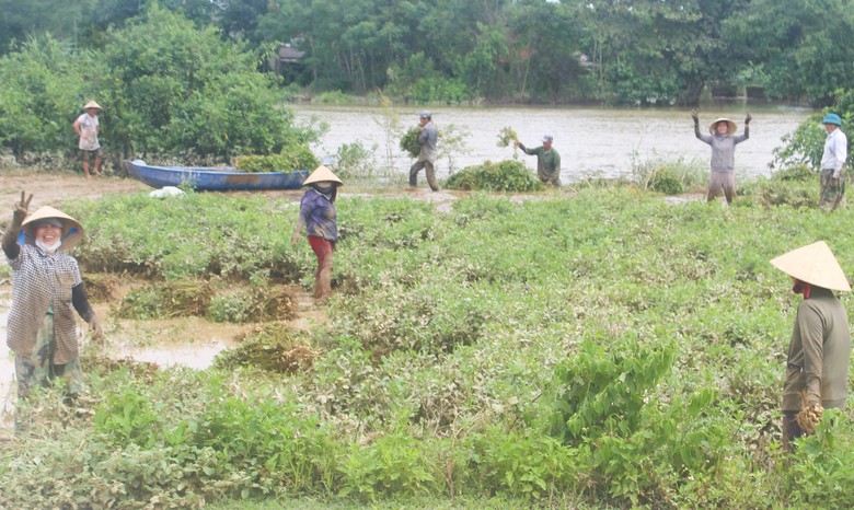 Lũ dữ bất thường gây nhiều thiệt hại, người dân Quảng Trị, Huế nỗ lực khắc phục- Ảnh 3. Lũ dữ bất thường gây nhiều thiệt hại, người dân Quảng Trị, Huế nỗ lực khắc phục- Ảnh 3.