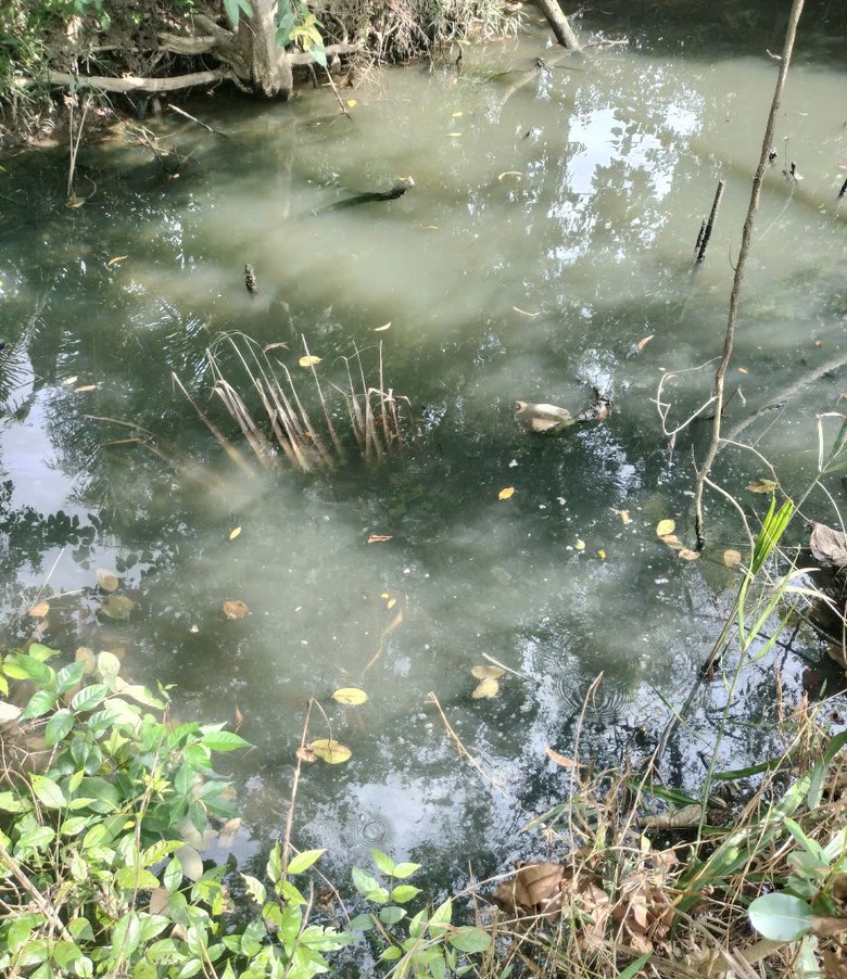 Long An: G&acirc;y &ocirc; nhiễm m&ocirc;i trường, một c&ocirc;ng ty bị phạt 155 triệu đồng- Ảnh 1.