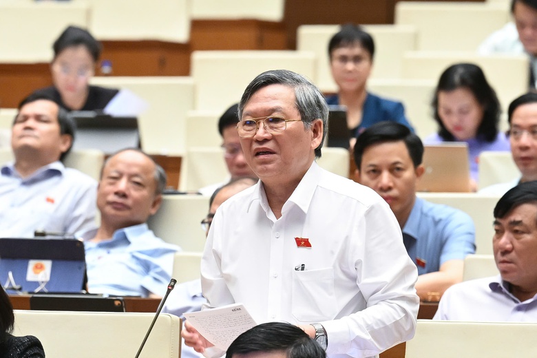 Vấn đề h&agrave;ng giả, h&agrave;ng nh&aacute;i lại "n&oacute;ng" nghị trường- Ảnh 2.