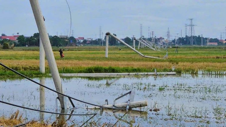 Thanh H&oacute;a: Loạt cột điện g&atilde;y đổ do mưa d&ocirc;ng đ&atilde; được khắc phục- Ảnh 2.