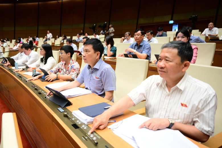 Quốc hội thông qua Luật Chất lượng sản phẩm, hàng hóa, nghiêm cấm quảng cáo sai sự thật- Ảnh 1.