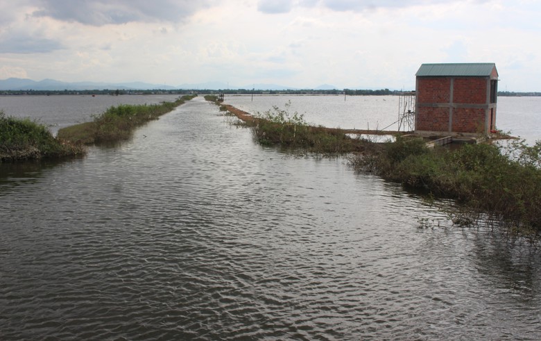 Mưa lũ dị thường gây thiệt hại nặng, Quảng Trị công bố tình huống khẩn cấp thiên tai- Ảnh 10. Mưa lũ dị thường gây thiệt hại nặng, Quảng Trị công bố tình huống khẩn cấp thiên tai- Ảnh 10.