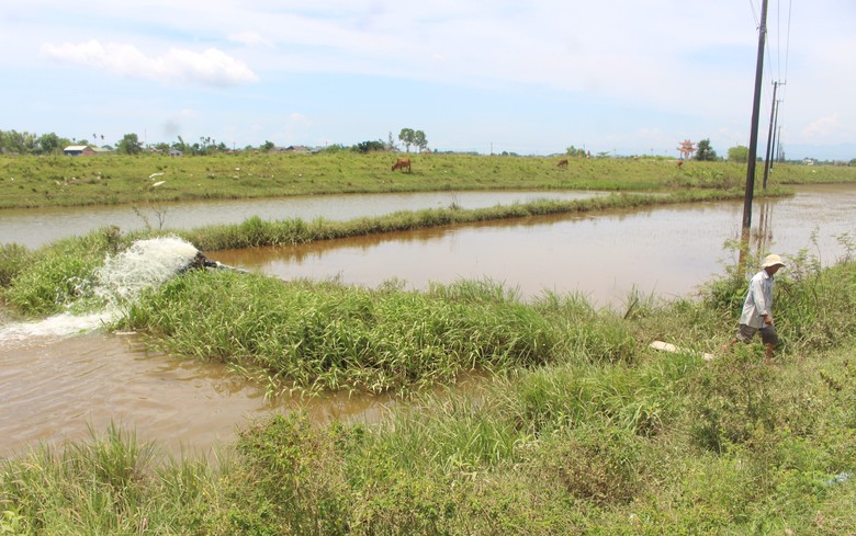 Mưa lũ dị thường gây thiệt hại nặng, Quảng Trị công bố tình huống khẩn cấp thiên tai- Ảnh 11. Mưa lũ dị thường gây thiệt hại nặng, Quảng Trị công bố tình huống khẩn cấp thiên tai- Ảnh 11.