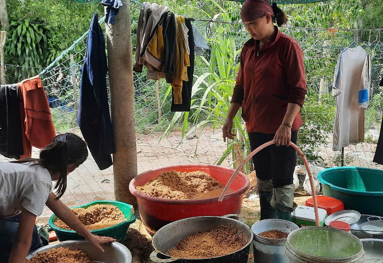 Mưa lũ dị thường gây thiệt hại nặng, Quảng Trị công bố tình huống khẩn cấp thiên tai- Ảnh 12. Mưa lũ dị thường gây thiệt hại nặng, Quảng Trị công bố tình huống khẩn cấp thiên tai- Ảnh 12.