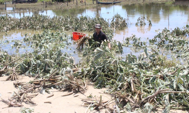 Mưa lũ dị thường gây thiệt hại nặng, Quảng Trị công bố tình huống khẩn cấp thiên tai- Ảnh 2. Mưa lũ dị thường gây thiệt hại nặng, Quảng Trị công bố tình huống khẩn cấp thiên tai- Ảnh 2.