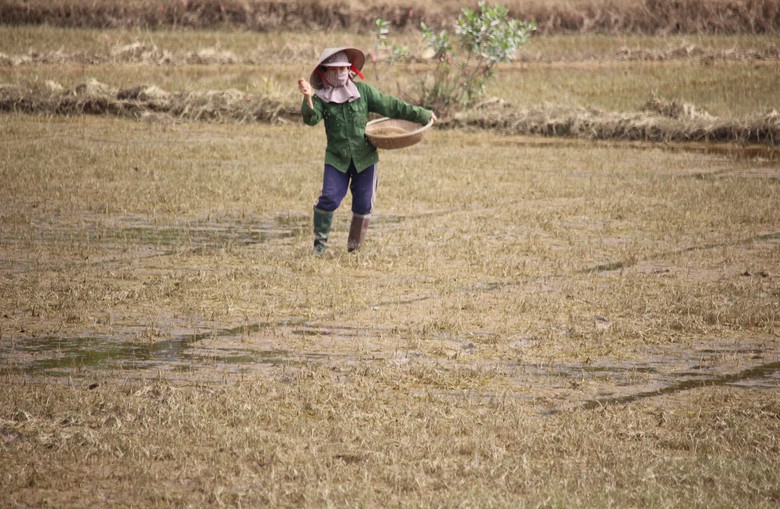 Mưa lũ dị thường gây thiệt hại nặng, Quảng Trị công bố tình huống khẩn cấp thiên tai- Ảnh 7. Mưa lũ dị thường gây thiệt hại nặng, Quảng Trị công bố tình huống khẩn cấp thiên tai- Ảnh 7.
