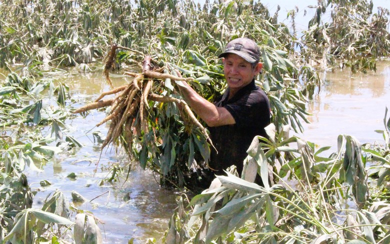 Quảng Trị: Kh&ocirc;i phục sản xuất, đảm bảo đời sống người d&acirc;n thiệt hại do mưa lũ bất thường