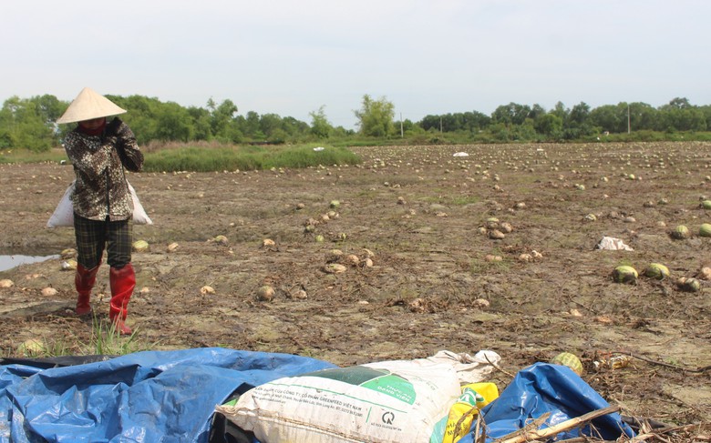 Quảng Trị: Khôi phục sản xuất, đảm bảo đời sống người dân thiệt hại do mưa lũ bất thường- Ảnh 1. Quảng Trị: Khôi phục sản xuất, đảm bảo đời sống người dân thiệt hại do mưa lũ bất thường- Ảnh 1.