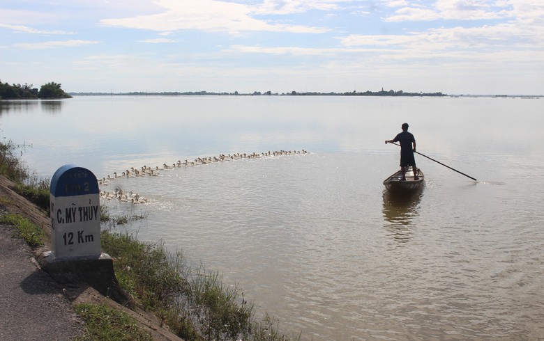 Quảng Trị: Khôi phục sản xuất, đảm bảo đời sống người dân thiệt hại do mưa lũ bất thường- Ảnh 3. Quảng Trị: Khôi phục sản xuất, đảm bảo đời sống người dân thiệt hại do mưa lũ bất thường- Ảnh 3.