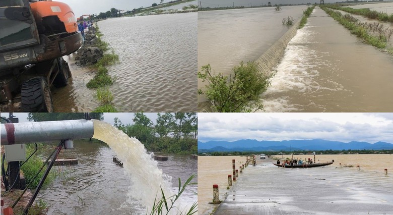 Quảng Trị: Khôi phục sản xuất, đảm bảo đời sống người dân thiệt hại do mưa lũ bất thường- Ảnh 5. Quảng Trị: Khôi phục sản xuất, đảm bảo đời sống người dân thiệt hại do mưa lũ bất thường- Ảnh 5.