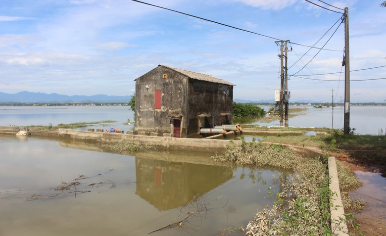 Quảng Trị: Khôi phục sản xuất, đảm bảo đời sống người dân thiệt hại do mưa lũ bất thường- Ảnh 8. Quảng Trị: Khôi phục sản xuất, đảm bảo đời sống người dân thiệt hại do mưa lũ bất thường- Ảnh 8.