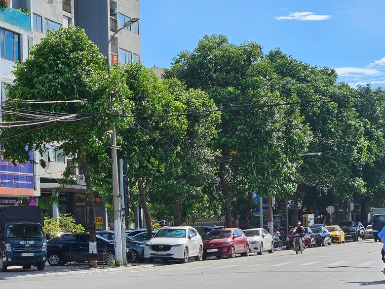 Nghệ An: T&igrave;m giải ph&aacute;p khắc phục những bất cập trong vận h&agrave;nh chung cư- Ảnh 2.