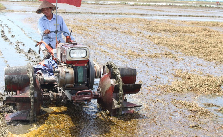 Xót xa hàng nghìn ha lúa ở Quảng Trị ngập úng sau đợt lũ bất thường- Ảnh 6. Xót xa hàng nghìn ha lúa ở Quảng Trị ngập úng sau đợt lũ bất thường- Ảnh 6.