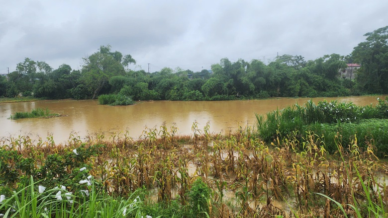 Tuy&ecirc;n Quang ứng ph&oacute; mưa lớn, sạt lở đất cấp độ 3- Ảnh 2.