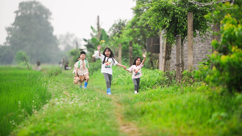Các con đem đồ ăn ra đồng cho các bố