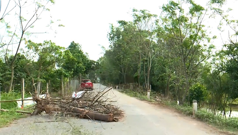 Nghệ An: Biển hạn chế tải trọng li&ecirc;n tục bị ph&aacute; bỏ, xe tải khủng vẫn c&agrave;y ph&aacute; đường huyện- Ảnh 8.