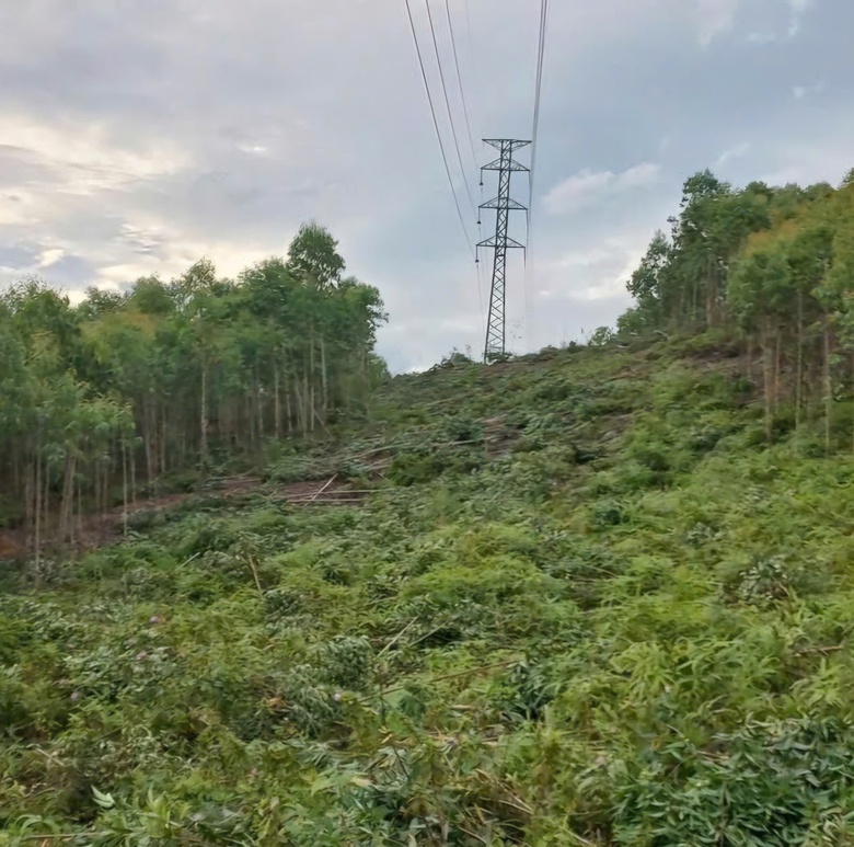 Vĩnh Ph&uacute;c: Đ&oacute;ng điện dự &aacute;n đường d&acirc;y 110kV B&aacute; Thiện - Khai Quang- Ảnh 2.