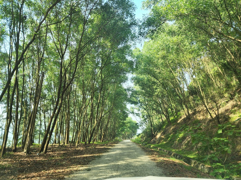 V&igrave; sao tuyến đường ven biển đẹp nhất H&agrave; Tĩnh vắng b&oacute;ng du kh&aacute;ch?- Ảnh 3.