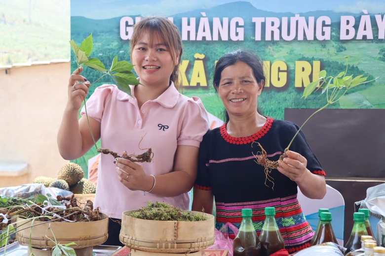 "Tri thức về s&acirc;m Ngọc Linh" ở Kon Tum được c&ocirc;ng nhận l&agrave; di sản quốc gia- Ảnh 1.