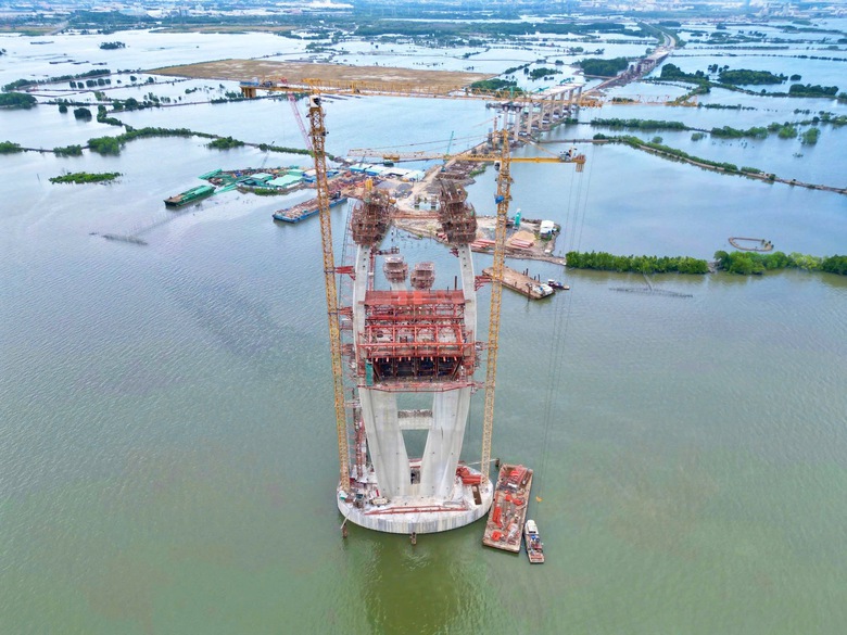 Ch&iacute;nh thức chuyển 2,5ha rừng bờ Đồng Nai để x&acirc;y cầu Phước An- Ảnh 2.