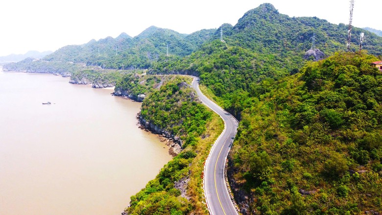 Huyện đảo C&aacute;t Hải trước ng&agrave;y trở th&agrave;nh đặc khu kinh tế- Ảnh 4.