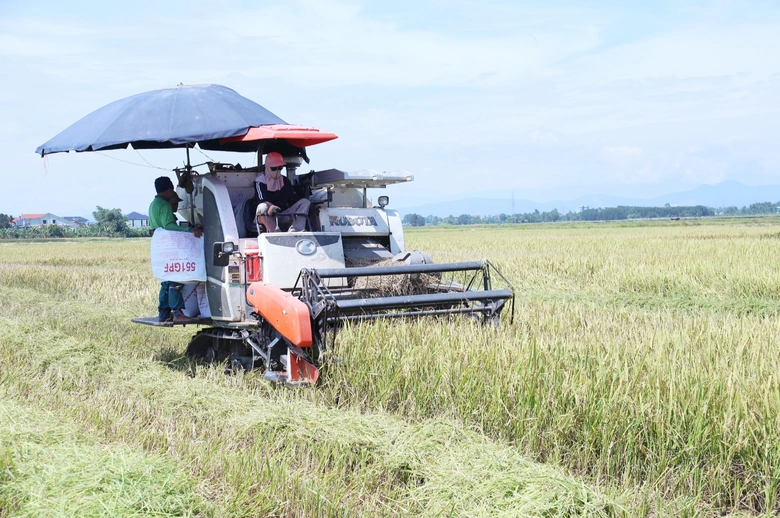 Năng suất l&uacute;a ở H&agrave; Tĩnh tăng cao nhờ ứng dụng khoa học kỹ thuật- Ảnh 1.
